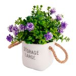Vaso_Frases_Alças_Planta_Sortida_Harmonia_Plástico_10x10x19,5cm_LM3723_-_honeyhome
