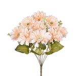 Buque_Zinnia_X9_Pêssego_Ref.54607025_Grillo