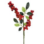 Haste_Blueberries_X2_Vermelhor_Outono_Ref.52756109_Grillo