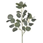 Haste_Folhas_Eucalipto_X3_Verde_Ref.48993004_Grillo
