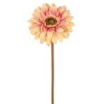 Haste_Flor_Gérbera_Outonada_Mel_Ref.51898123_Grillo