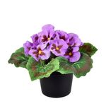 Arranjo_de_Violeta_Artificial_Lilás_Ref.55397013_Grillo
