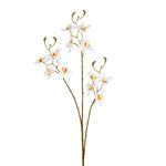 Haste_de_Flores_X3_Branco_Ref.66343008_Grillo