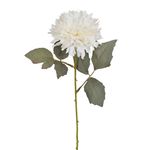 Haste_Gerbera_Aranha_Creme_Ref.67616010_Grillo