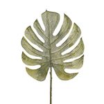 Haste_Folha_Costela_de_Adao_Outonada_Verde_Ref.67613004_Grillo