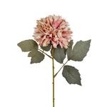 Haste_Gerbera_Aranha_Rosa_Ref.67616018_Grillo