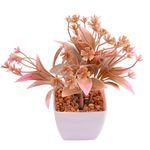 Suculenta_Sortido_Harmonia_Plástico_Pp_E_Pe_5,5x5,5x14cm_LM3829_-_honeyhome
