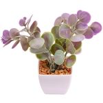 Suculenta_Sortido_Harmonia_Plástico_Pp_E_Pe_5,5x5,5x14cm_LM3829_-_honeyhome