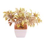 Suculenta_Sortido_Harmonia_Plástico_Pp_E_Pe_5,5x5,5x14cm_LM3829_-_honeyhome