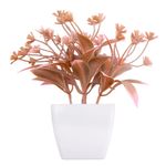 Suculenta_Sortido_Harmonia_Plástico_Pp_E_Pe_5,5x5,5x14cm_LM3829_-_honeyhome