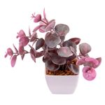 Suculenta_Sortido_Harmonia_Plástico_Pp_E_Pe_5,5x5,5x14cm_LM3829_-_honeyhome