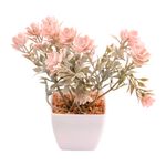 Suculenta_Sortido_Harmonia_Plástico_Pp_E_Pe_5,5x5,5x14cm_LM3829_-_honeyhome