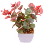 Suculenta_Sortido_Harmonia_Plástico_Pp_E_Pe_5,5x5,5x14cm_LM3829_-_honeyhome