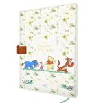 Agenda_Winnie_The_Pooh_2027_A5_Ref.5673_Dac