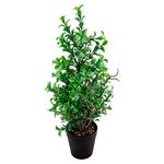 Planta_Artificial_Arbusto_Verde_Vaso_Plástico_Preto_9x9x44cm_Ref.CB5382_Moment