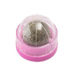 Brinquedo_Para_Gato_Bola_Catnip_Plástico_Sortido_4,5x4,5x4cm_Ref.CB4261_Moment