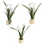 Planta_Artificial_Copo_de_Leite_Vaso_Pvc_Bege_9,5x9,5x40cm_5387_-_Moment