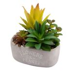Planta_Artificial_Suculentas_Em_Pvc_Vaso_Cimento_Flowers_&_Plants_13,5x8x16cm_Ref.CB5385_Moment